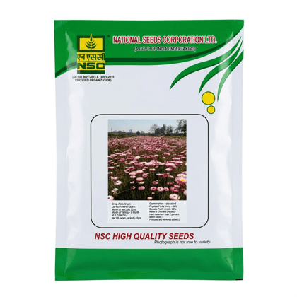 NSC Acroclinium Flower, 10 Gram Truthfully Labelled Seed Pouch