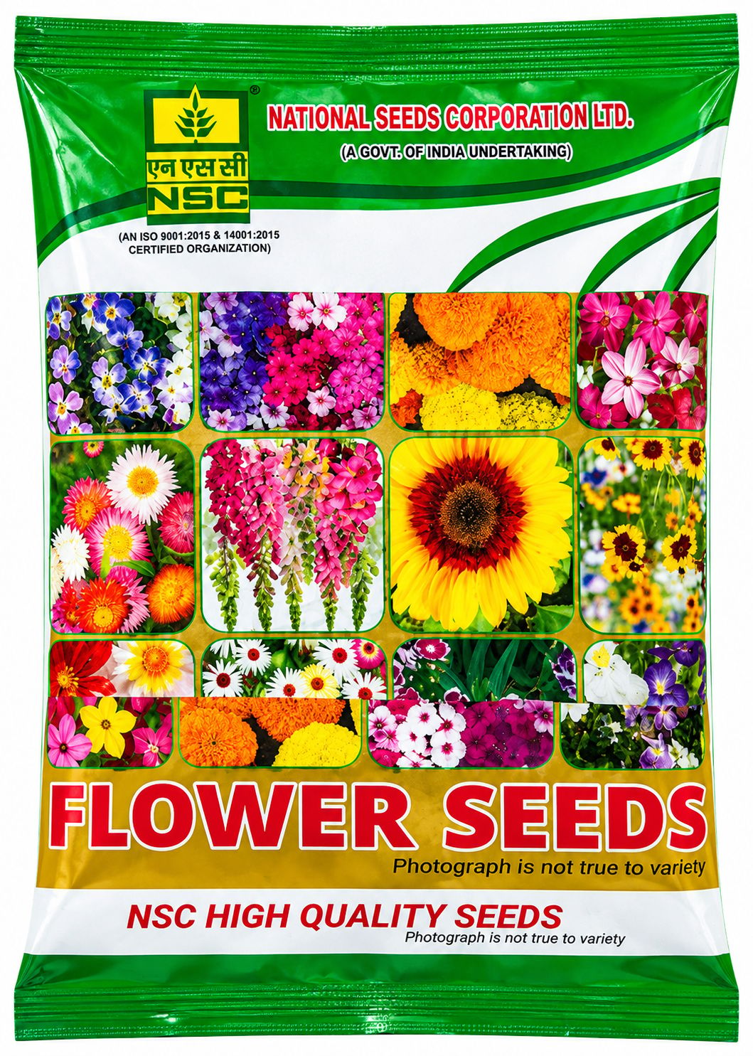 NSC Dahlia Top Star, 5 gram Truthfully Labelled Seed Pouch