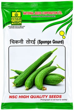 NSC Sponge Gourd Pusa Sneha, 10 gm Seed