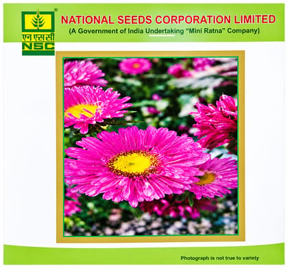 NSC Zinnia Mix Premium Flower Seed-1 gram 