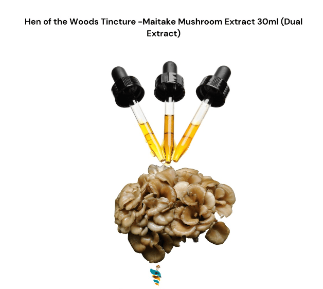 Hen of the Woods Tincture -Maitake Mushroom Extract 30ml (Dual Extract)