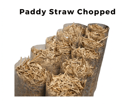 Chopped Paddy Straw: Premium Substrate for Mushroom Cultivation 2 kg