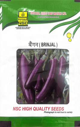 NSC VEGETABLE SEED BRINJAL PPC TL 25 GM