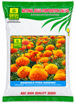 NSC Marigold Pusa Narangi, 100 gram Seed