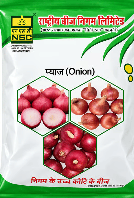 Nsc Onion Bhima Super TL 250 Gram