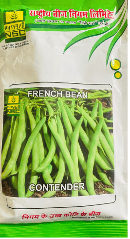 French Bean Contender