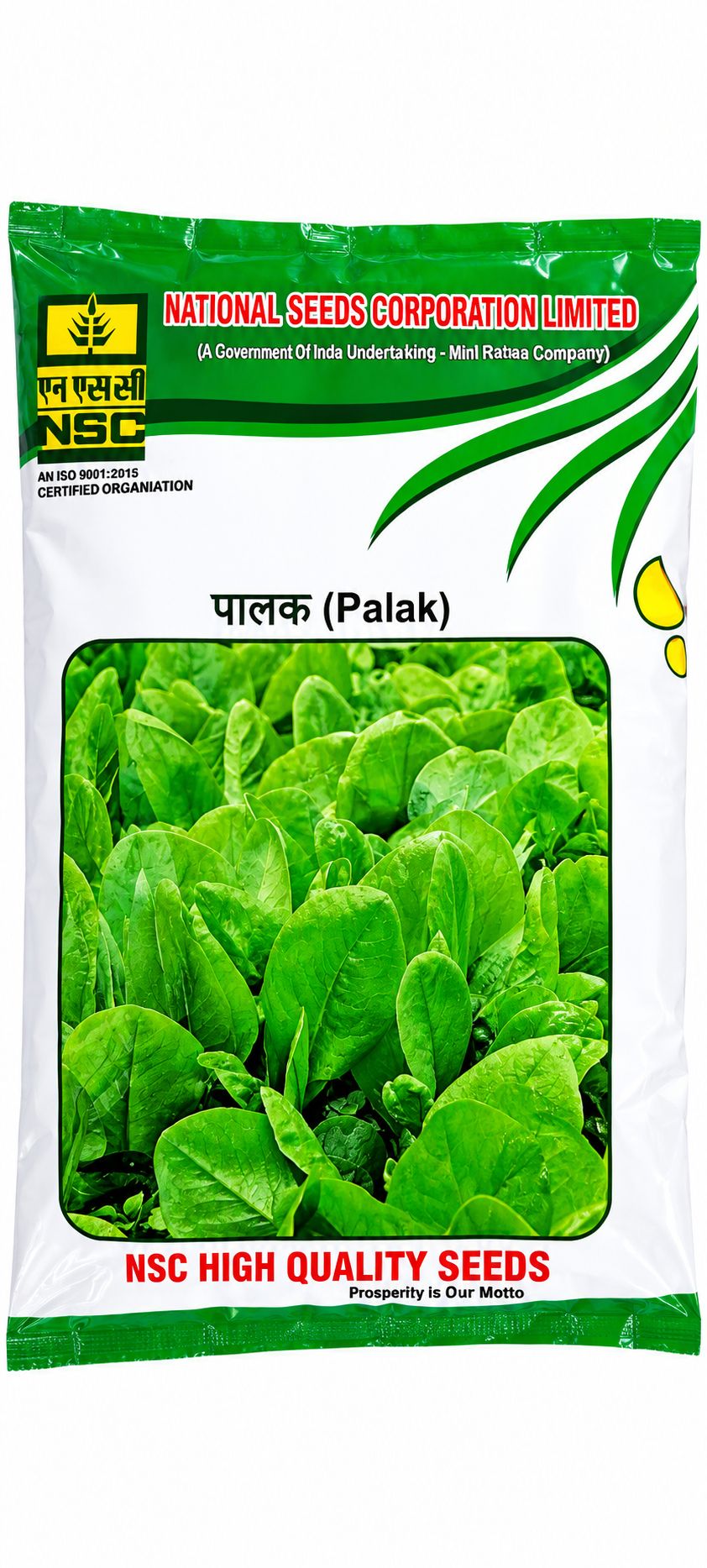 PALAK - ALL GREEN 