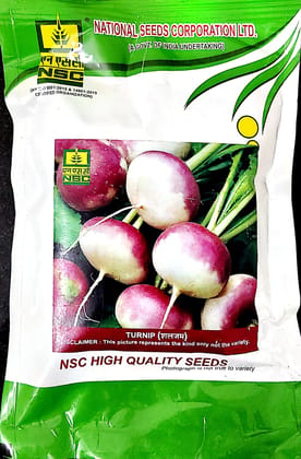 NSC TURNIP VARIETY PUSA SWETI HIGH QUALITY T/L SEED 100 GMS POUCH PACKING