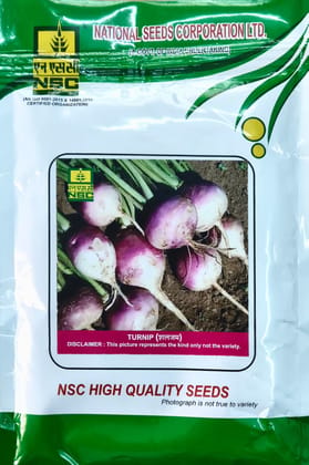 TURNIP - PTWG Variety