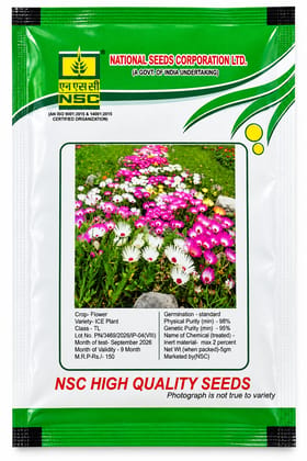 NSC Ice Plant  Flower Seed 5 Gram 