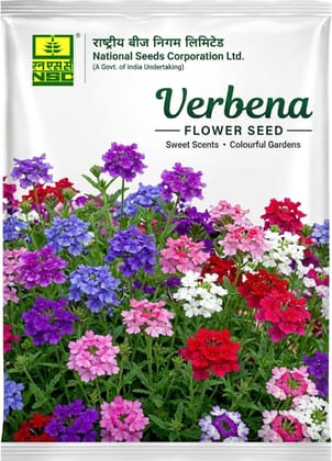 NSC Verbena Flower Seed
