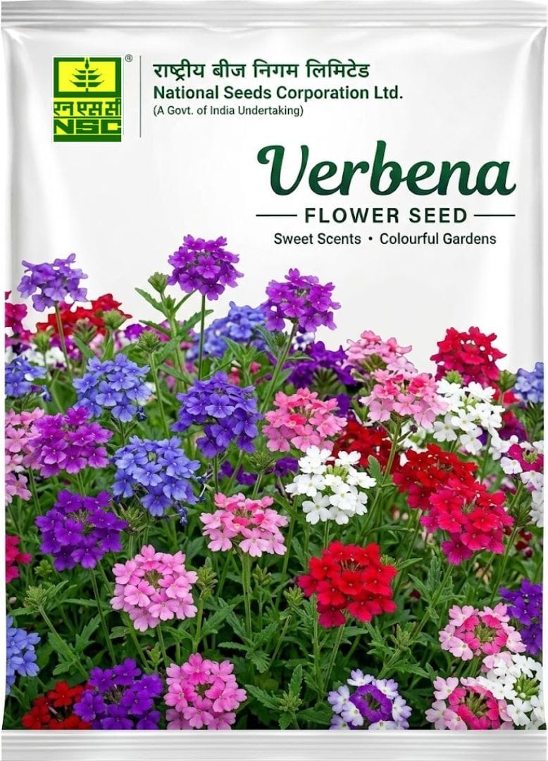 NSC Verbena Flower Seed