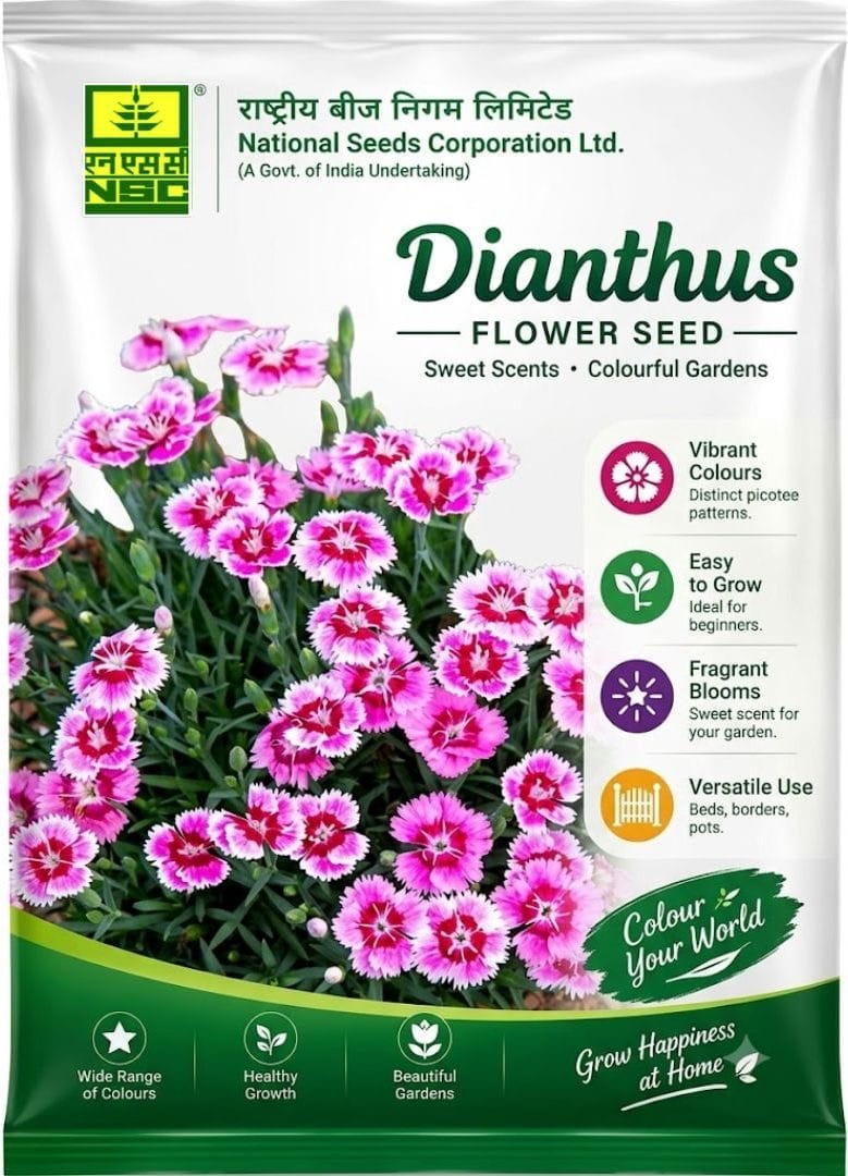 NSC  Dianthus Flower Seed