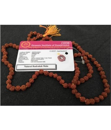 Apnisanskriti Rudraksha Pack of 1