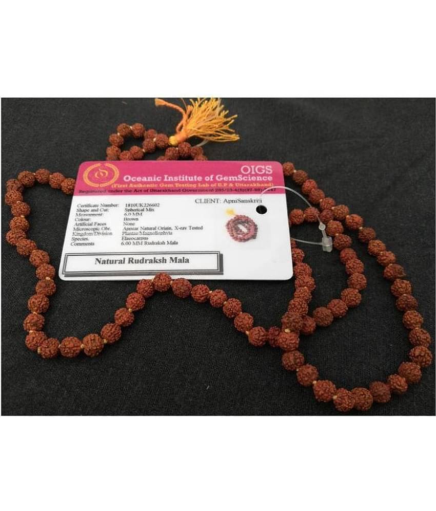 Apnisanskriti Rudraksha Pack of 1