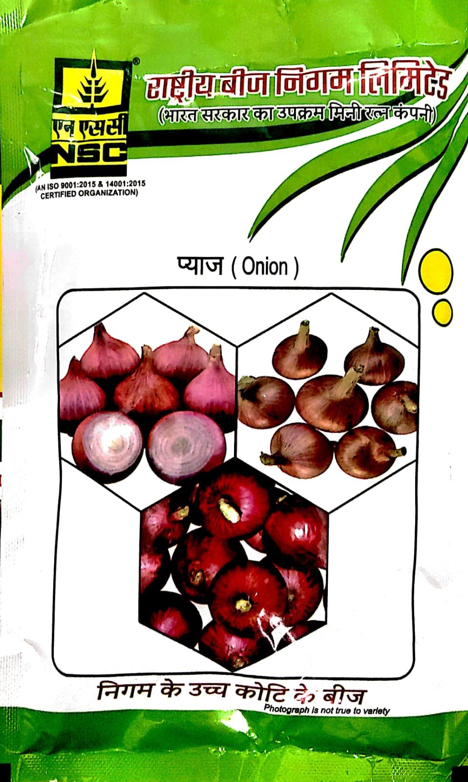 Nsc Onion Variety - Afdr High Quality Tl Seed 100 Gms Pouch