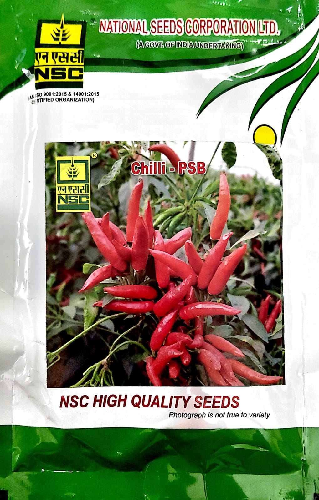 Nsc Chilli Pusa Sadbahar (psb) High Quality Tl Seed 50 Gms Pouch