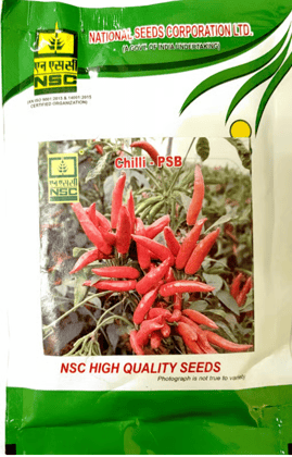 Nsc Chilli Pusa Sadabahar (psb) High-quality T/l Seeds 50 Gms Pouch