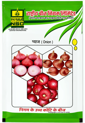Nsc Onion Seed, Variety: Afdr, Tl ,100 Gms