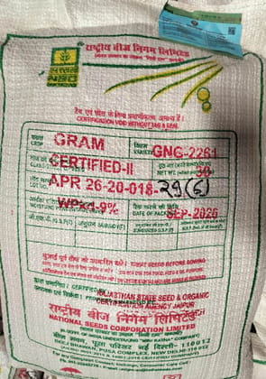 NSC GRAM GNG-2261 CS