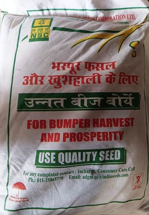Lentil IPL-315