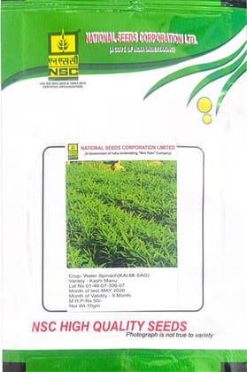 Nsc Water Spinach Kashi Manu, 10 gram TL Seeds