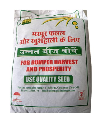 LENTIL IPL-329