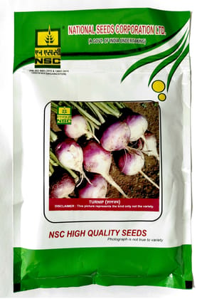 NSC TURNIP VARIETY PTWG HIGH-QUALITY T/L SEEDS - 100 GMS POUCH