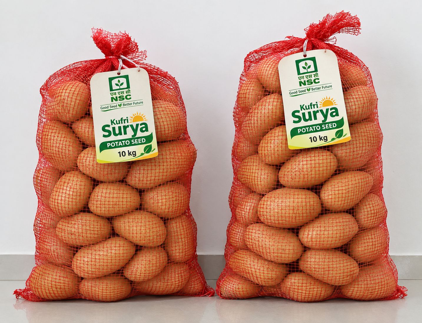 NSC Potato Seed Kufri Surya 10kg
