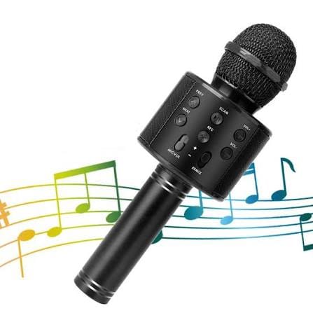New Singing Microphone Mic Ws-858 Sound Recorder Song Lover Mic with Good Look Dashing Look Professional New System 360' Surround Sound