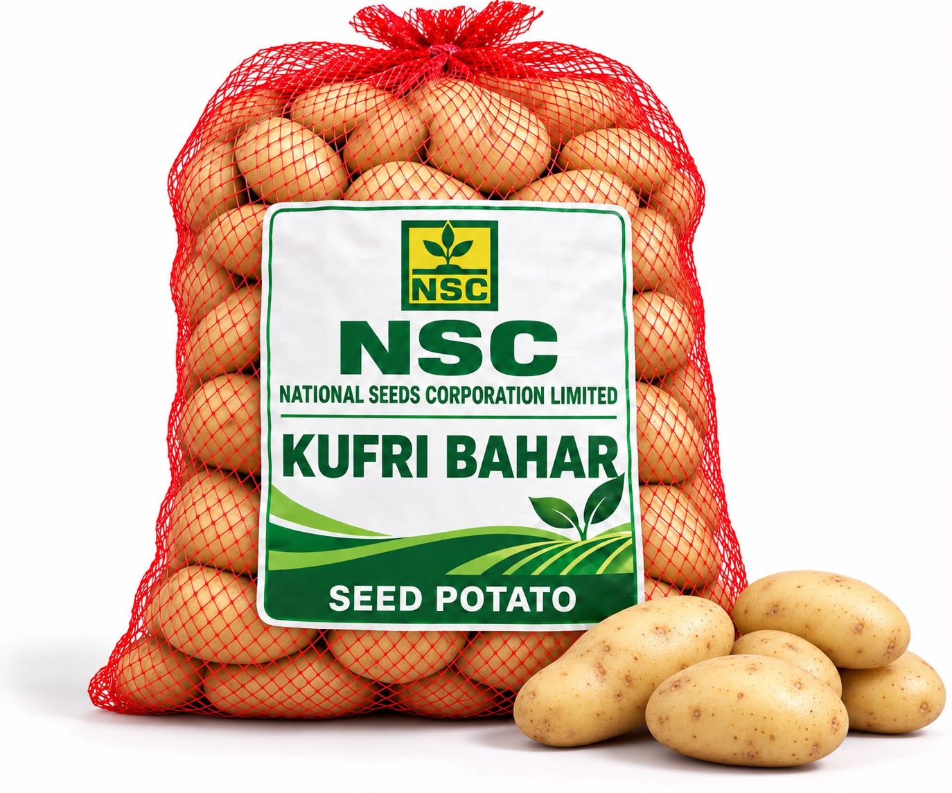 NSC Potato Kufri Bahar 10kg