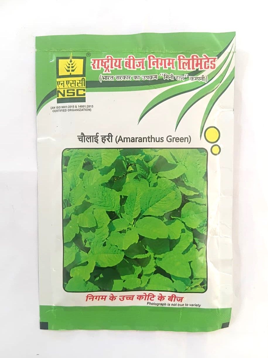 NSC Green Amaranthus (Chaulai saag) CO-2 variety, 50 gram T/L seed