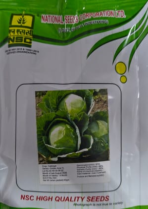 NSC Cabbage Golden Acre, 50gm