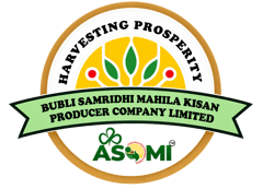 Bubli Samridhi Mahila Kisan Producer Company Limited