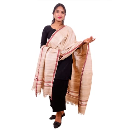 Tribes India Handmade Tussar Silk Shawl for Women (Nude/Beige)