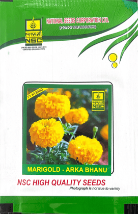 NSC FLOWER MARIGOLD ARKA BHANU TL HYBRID 1 GM