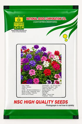Nsc Phlox Flower Seed- 5 gm