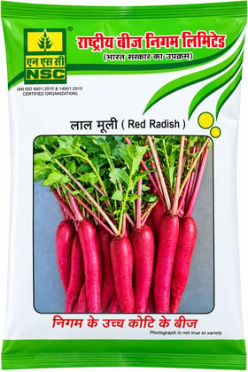 NSC PUSA GULABI RED RADISH HIGH-QUALITY T/L SEEDS - 100 GMS 
