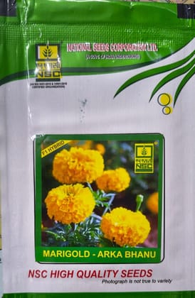 NSC Hubrid Marigold-Arka Bhanu, 1g hYBRID Seed