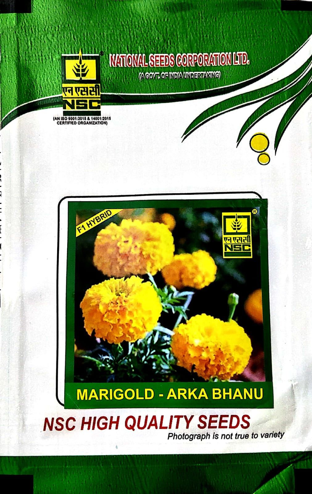 NSC HYBRID MARIGOLD VARIETY ARKA BHANU HIGH QUALITY F 1 HYBRID SEED 1 GMS POUCH