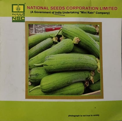 NSC SPONGE GOURD VARIETY KASHI SHREYA HIGH QUALITY T/L SEED 5 GMS POUCH