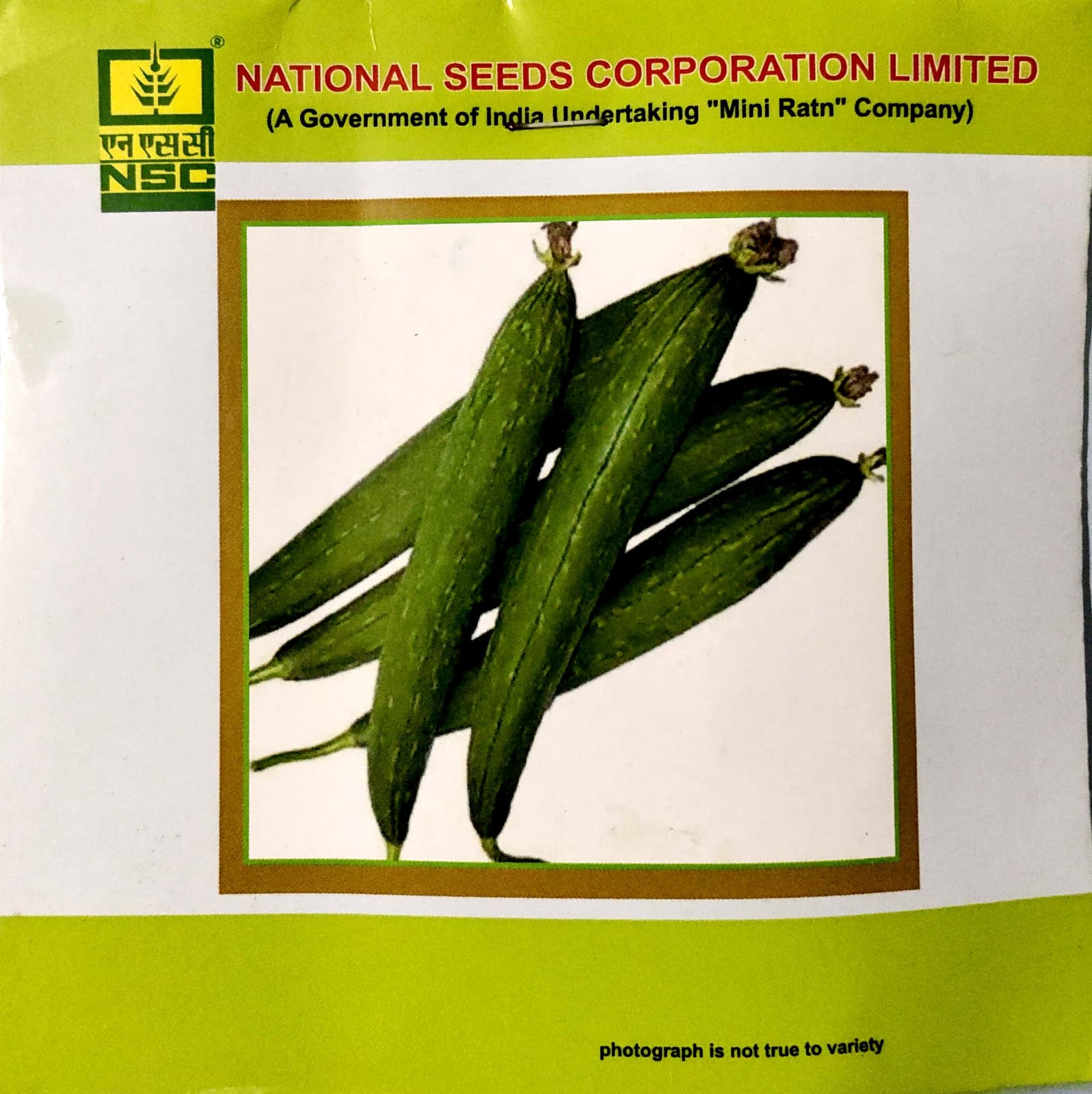 NSC SPONGE GOURD VARIETY KASHI JYOTI HIGH QUALITY T/L SEED 5 GMS POUCH