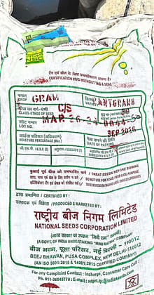 NSC GRAM   PANT GRAM - 8 CS SEED   30 KG SIZE