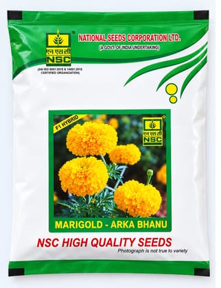 NSC MARIGOLD VAR ARKA BHANU TL 1 Gm