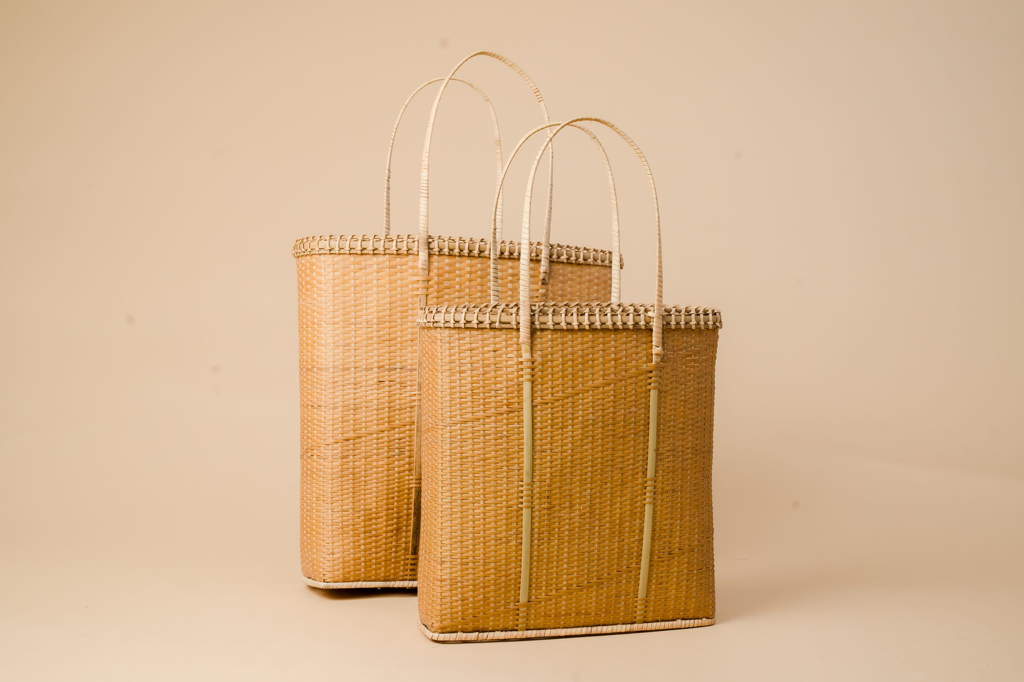 Shopping Bag 02