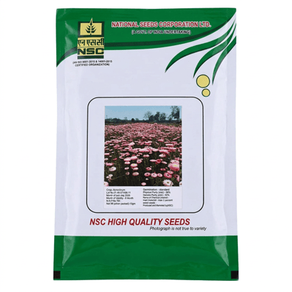 Acroclinium (अक्रोक्लिनियम) 10 Gm