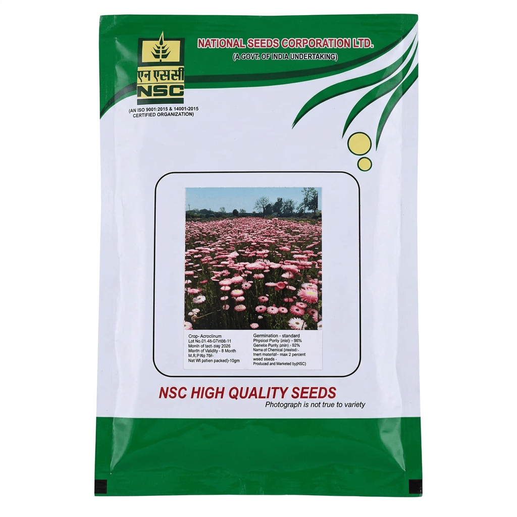 Acroclinium (अक्रोक्लिनियम) 10 Gm
