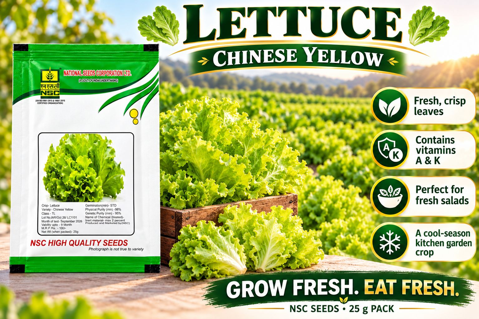 NSC LETTUCE - CHINESE YELLOW 25GM