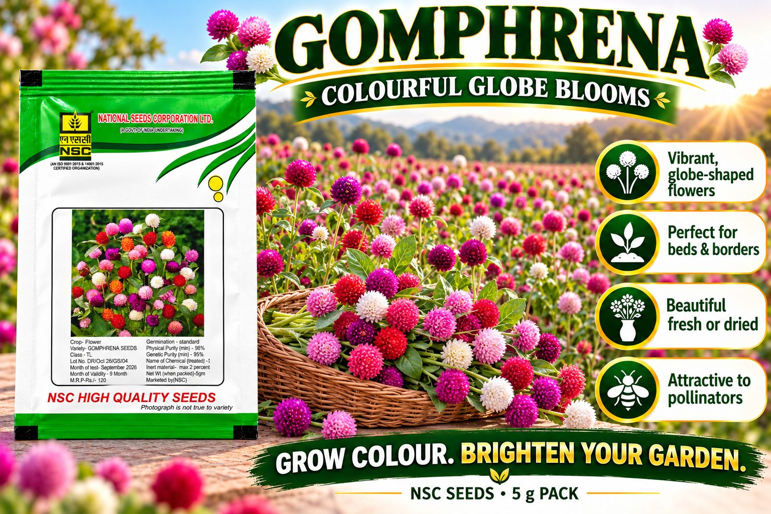 NSC Gomphrena Flower seeds - 5 gm  