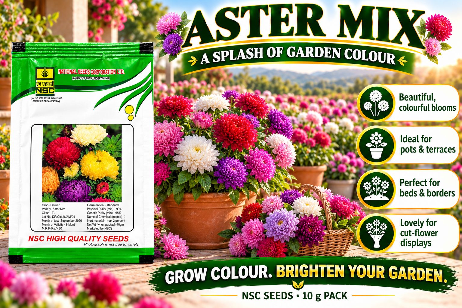 NSC Aster Mix- 10gm
